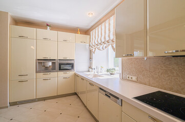 interior apartment kitchen and dining room, refectory area, cooking equipment, table furniture, stove