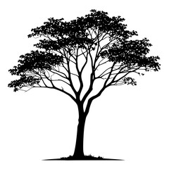 Obraz premium Black and white Vector Tree Illustration – Nature-Inspired Digital Art