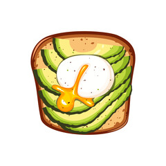 Sandwich with avocado slices, poached egg. Healthy breakfast. Top view. Vector illustration on white background.