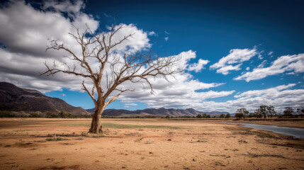 A lone bare tree stands in a vast, arid landscape under a bright blue sky with fluffy clouds, with mountains visible in the distance on the Australian outback.