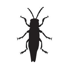 aInsect silhouette isolated on white background. Bug black shape. Beetle icon. Entomology, botany or biology design element for poster, flyer or book cover. Stock vector illustration