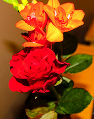 Vibrant Bouquet of Red Roses and Orange Flowers