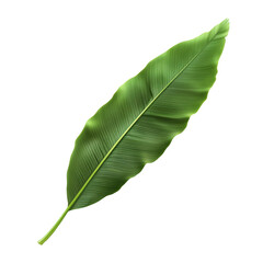 Obraz premium Lush Tropical Leaf (1)