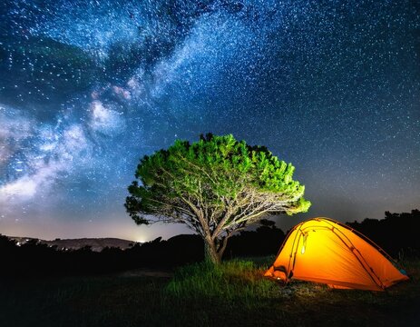 Luminous green tree and tent under the stars milky way