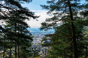 View of Oslo from the woods