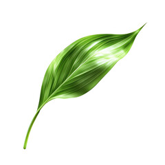 Vibrant Green Leaf, Detailed Veins