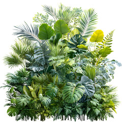 Fototapeta premium Lush green tropical plants bush (monstera, palm, rubber plant, pine and fern), cut out