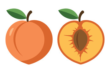 Juicy Peach and Cut Half with Pit – Flat Vector Illustration
