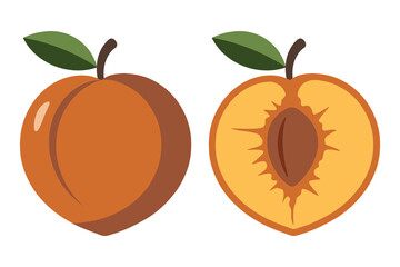 Juicy Peach and Cut Half with Pit – Flat Vector Illustration
