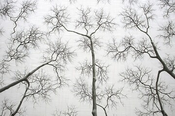 complex networks illustrating protein interaction maps Neat