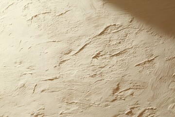 A subtly textured off-white wall provides a clean, neutral backdrop bathed in soft daylight, ideal for product displays or minimalist designs.