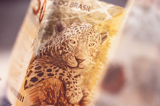 Dinheiro, Brasil, Real. A parte de tr&aacute;s em closeup de uma c&eacute;dula de 50 reais. Nota dobrada. Economia brasileira.
