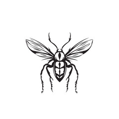 wo-Tone Grasshopper Drawing in Black and White