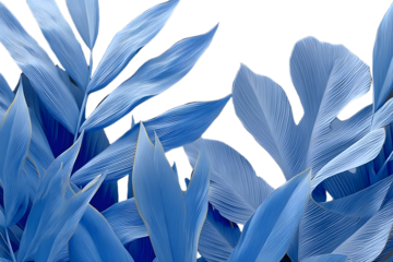 Collection of tropical leaves,foliage plant in blue color with space background