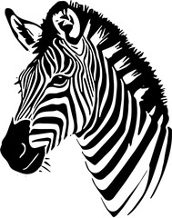 zebra vector illustration