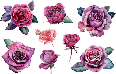 Obraz premium seamless pattern with roses