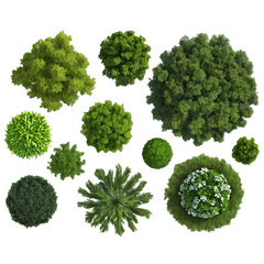 Overhead Trees for Landscape Architecture