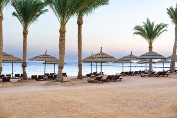 Relaxing beach scene with palm trees and lounge chairs at sunset by the ocean