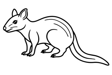 Wild Quoll Vector