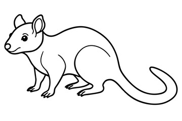 Wild Quoll Vector