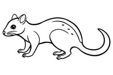 Wild Quoll Vector