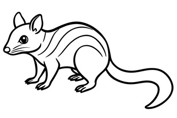 Wild Quoll Vector