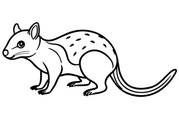 Wild Quoll Vector