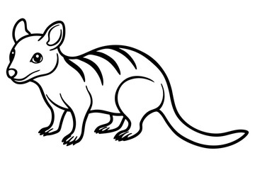 Wild Quoll Vector