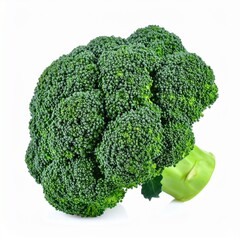  白い背景とブロッコリー