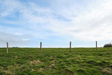 Barbed wire fence on green field and blue sky background, Steel metal fence wire, safety and protection concept.