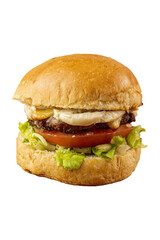 Close up of Cheeseburger on a transparent background