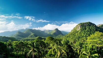 tropical forest and mountains under blue sky