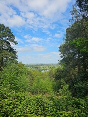 View of the city from the forest