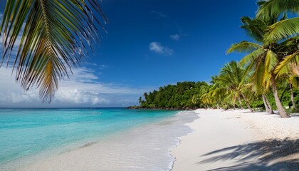 tropical paradise beach with palm trees and white sand