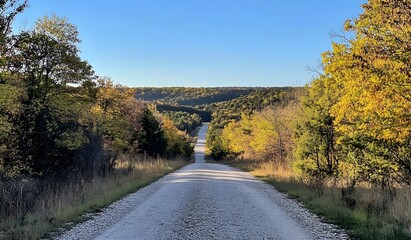 A photograph of an empty, gravel road flanked by trees in autumn colors leading to the horizon. 