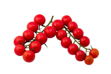 Two branches of cherry tomatoes on a transparent background.