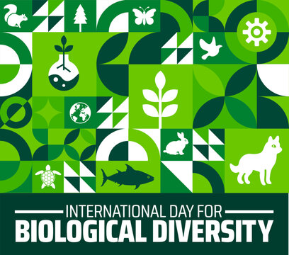 International Day for Biological Diversity Geometric shape pattern background banner or poster design template. observed every year in May. Holiday concept. Use to any Template, card, poster, placard