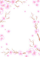 Naklejka premium Hand drawn watercolor pink cherry blossom postcard frame border isolated on white background. Can be used for postcard, invitation, front page and other printed products.