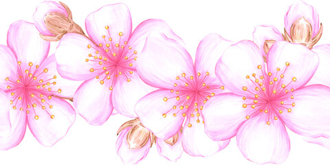 Hand drawn watercolor cherry blossom seamless border. Illustration of spring flowers isolated on white background. Can be used for textile, fabric, wrapping and other printed products.