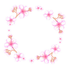 Hand drawn watercolor cherry blossom branch wreath frame border isolated on white background. Can be used for postcard, album, scrapbook and other printed products.