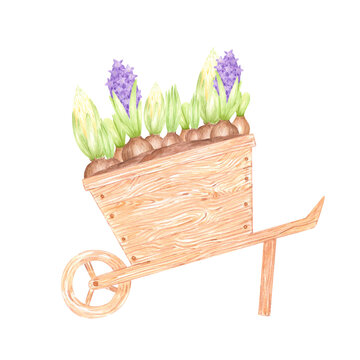 watercolor wooden wheelbarrow purple hyacinths clip art preview