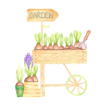 watercolor garden cart with hyacinth bulbs clip art preview