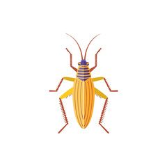 Vector Illustration of grasshopper, tinny insect Character for decor.