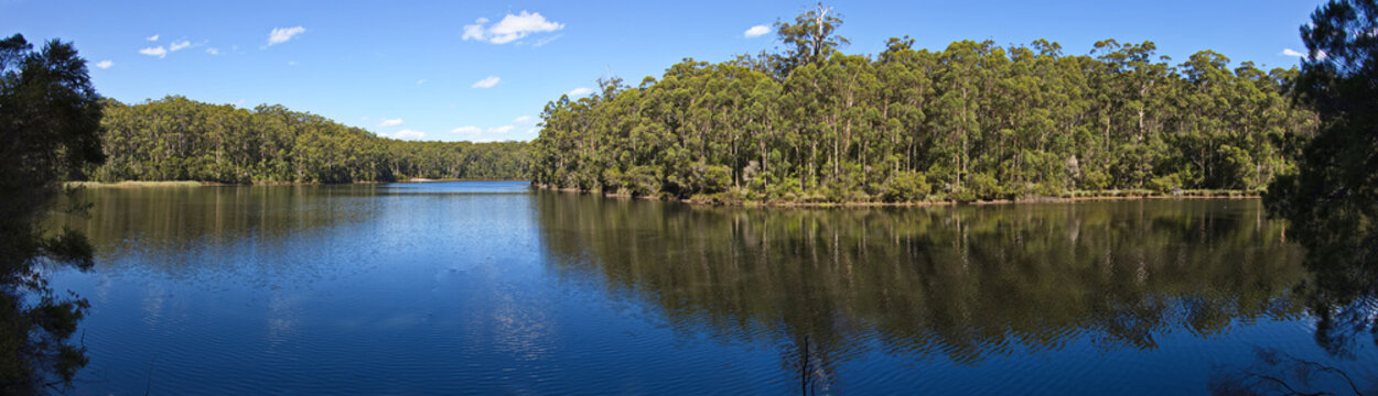 View of Big Brook Dam at Pemberton, Western Australia, Australia
