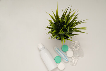 Essential tips and items for caring for your contact lenses alongside decorative plants