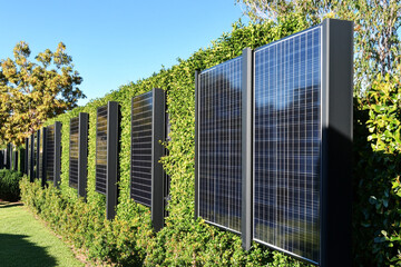 Solar panels integrated into a green hedge fence a sustainable energy solution