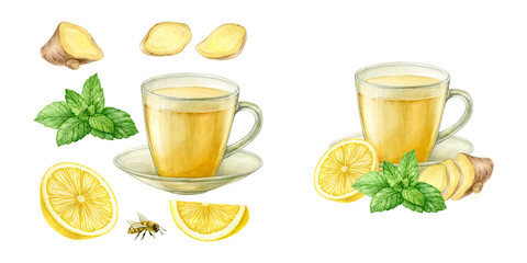 Set of ingredients for ginger tea, ginger pieces, lemon, mint leaves and glass cup of herbal drink. Watercolor illustration hand drawn and isolated. Perfect for food design,menu, tea branding.