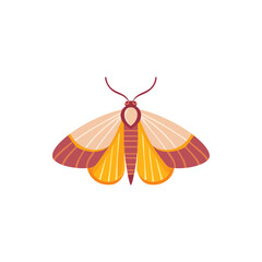 Vector Illustration of moth, Cute insect Character for decor