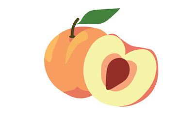 
peach on isolated white background