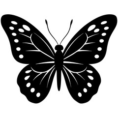 butterfly vector illustration